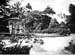 Cedars 08 1963