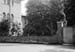 Cedars 11 1958