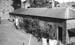 Cedars 17 1961