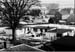 Cedars 18a 1963