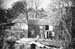 Cedars 22 1964