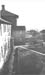 Cedars 26 1962