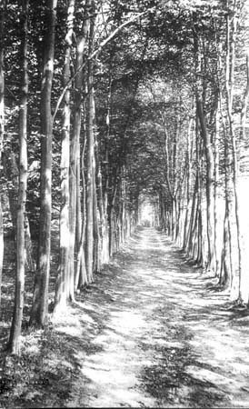  e1900s Lovers Walk 01