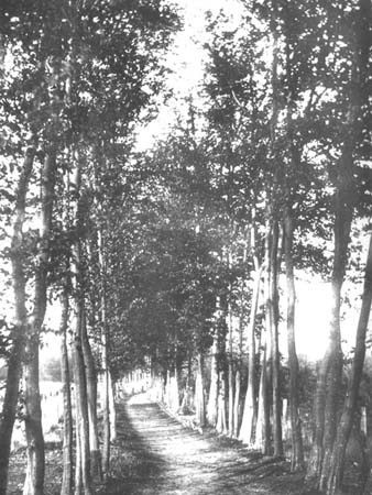  e1900s Lovers Walk 02