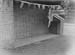 Gravenhurst 06