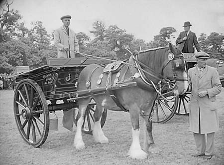 Turnout Competition 04