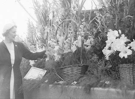 Horticultural 07
