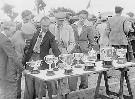 Trophies 01