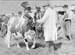 Cattle 07