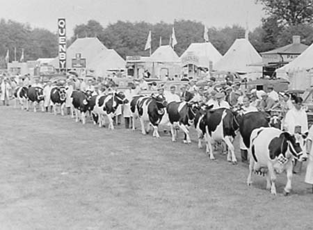  Grand Parades 18