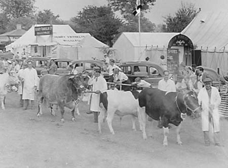  Grand Parades 21