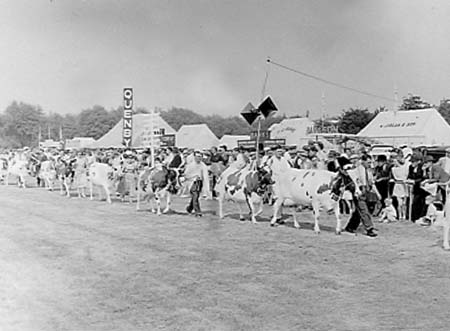  Grand Parades 25
