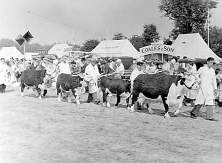  Grand Parades 28