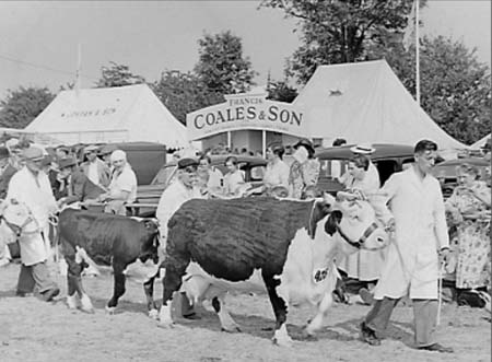  Grand Parades 29