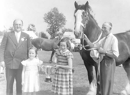 Heavy Horses 12