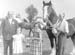 Heavy Horses 12