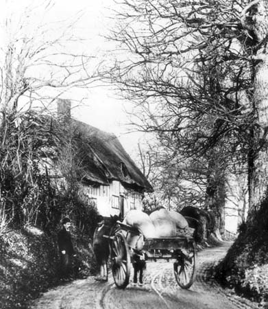  e1900s Berry Lane 01