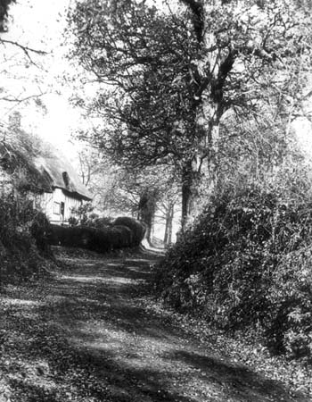  e1900s Berry Lane 03