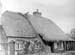 1954 Thatching 01