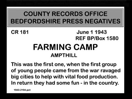 1943.2194