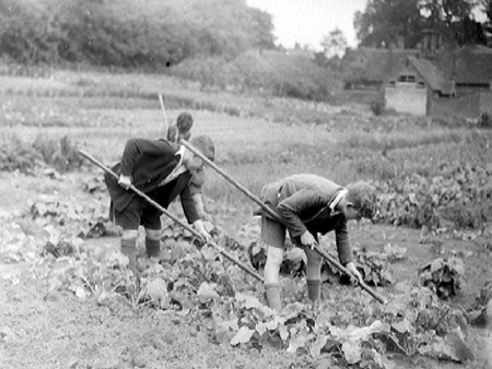 Allotments 1944.2413