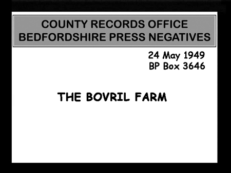 Bovril Farm 1949 02