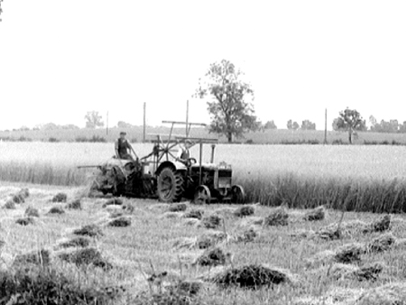 Harvesting 1944.2409