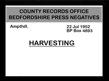 Harvesting 1952 01