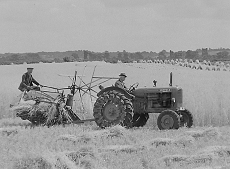 Harvesting 1952 03