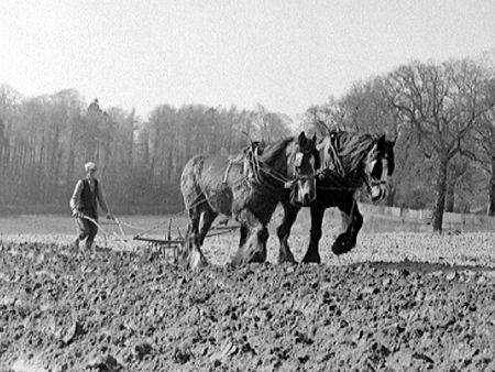 Ploughing 1942.2005