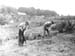 Allotments 1944.2414