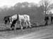 Ploughing 1943.2308