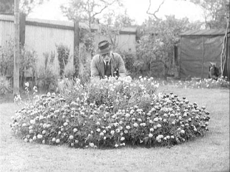 Garden Display 1948.3514