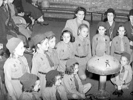 Brownies 1946.2996