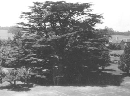 Date ?? Hawnes School 02