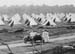 1915 Army Camp 02