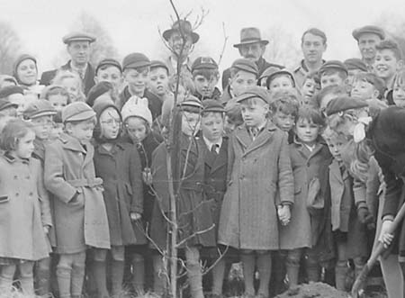 1951 Tree Planting 04