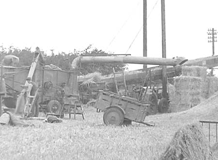 1952 Harvesting 03