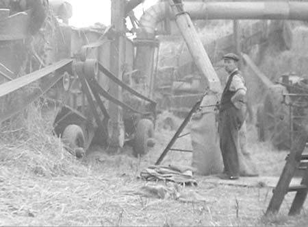 1952 Harvesting 04