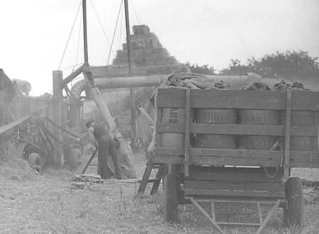 1952 Harvesting 08