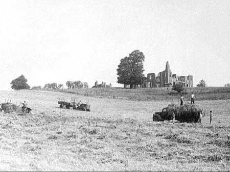 Haymaking 1949.3880