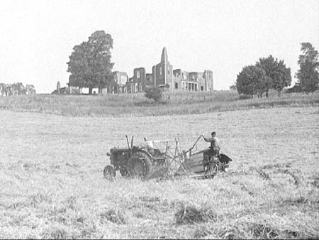 Haymaking 1949.3882