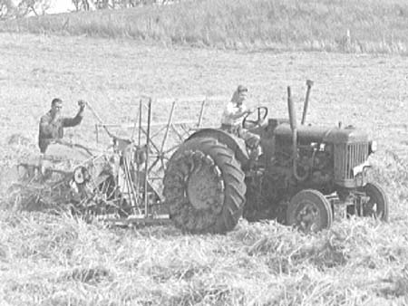 Haymaking 1949.3884