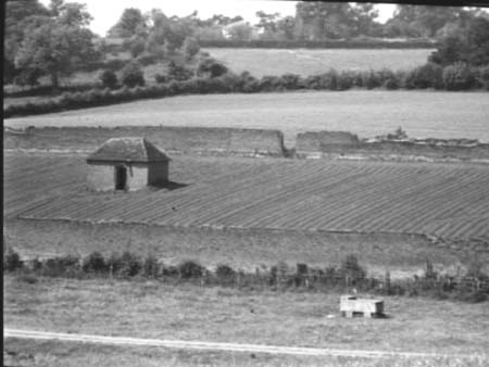 Walled Garden.5511