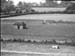 Walled Garden.5511