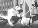  Hounds 1949.3665