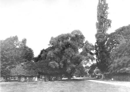 1800s The Green 04