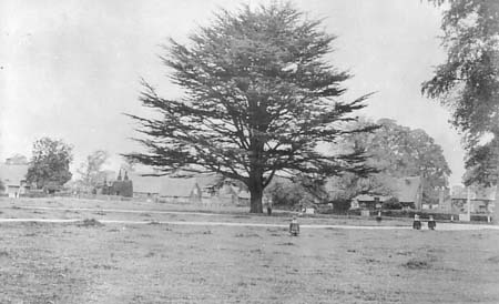 1900s The Green 01