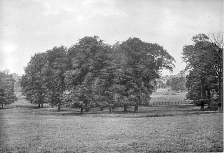1910 The Bury 01