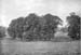 1910 The Bury 01